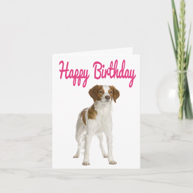 Happy Birthday Brittany Spaniel Puppy Dog Card (Front)
