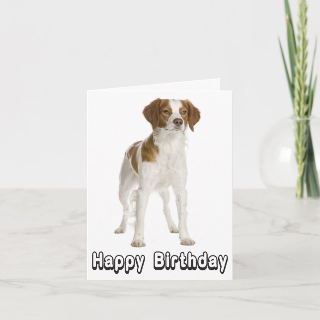 Happy Birthday Brittany Spaniel Puppy Dog Card (Front)