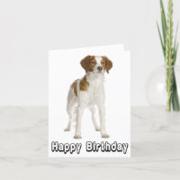 Happy Birthday Brittany Spaniel Puppy Dog Card