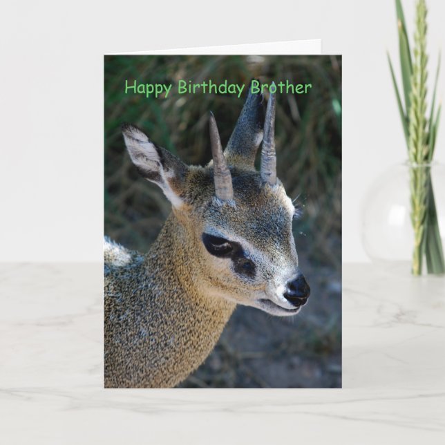 Happy Birthday Brother Card (Front)