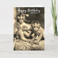 Happy Birthday Brother Cute Monkeys Birthday