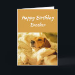 Happy Birthday Brother Funny Animals Card<br><div class="desc">Happy Birthday Brother Dog shocked looking or surprized Funny Animals.  Friendship Fun and laughter   Birthdays kind of sneak up on you.</div>