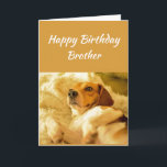 Happy Birthday Brother Funny Animals Card<br><div class="desc">Happy Birthday Brother Dog shocked looking or surprized Funny Animals.  Friendship Fun and laughter   Birthdays kind of sneak up on you.</div>