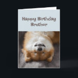 Happy Birthday Brother Funny Dog Party Time! Card<br><div class="desc">Happy Birthday Brother Funny Dog Party Time!</div>
