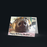 Happy Birthday Brother One I look up to! Cute Dog Card<br><div class="desc">Happy Birthday to the One I look up to! Cute Dog  Brother will appreciate this card</div>