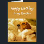 Happy Birthday Brother Real Age Humour Fun Dog<br><div class="desc">Happy Birthday Brother Friend Funny Animals.  Just remember I know your real age with cute shocked looking dog</div>