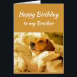 Happy Birthday Brother Real Age Humour Fun Dog<br><div class="desc">Happy Birthday Brother Friend Funny Animals.  Just remember I know your real age with cute shocked looking dog</div>
