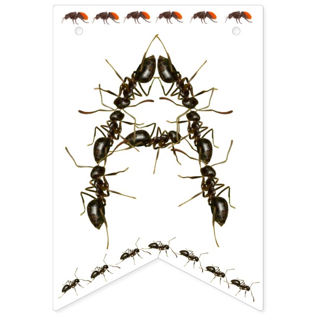 Happy Birthday Bug Themed Banner (Third Flag)