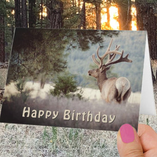 Happy Birthday Bull Elk Photograph Template