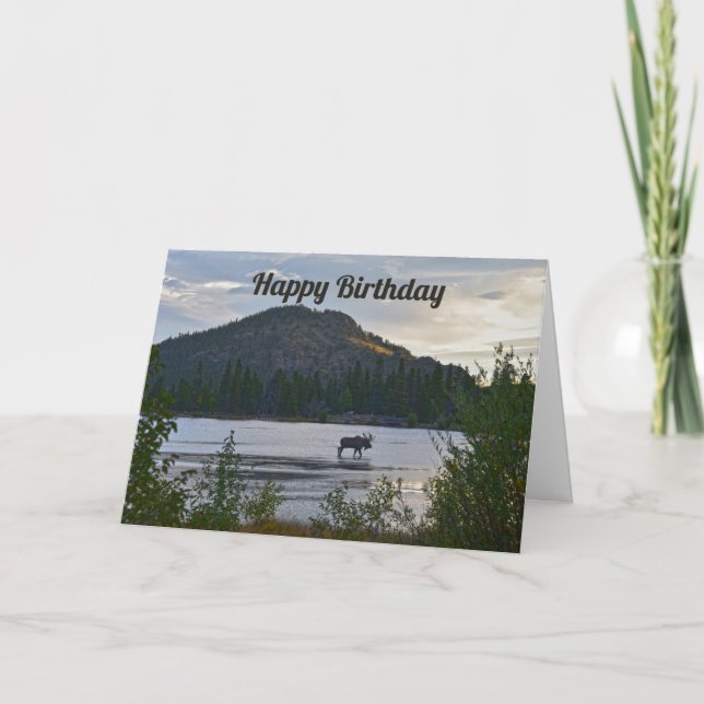 Happy Birthday, Bull Moose, Sprague Lake, Colorado Card (Front)