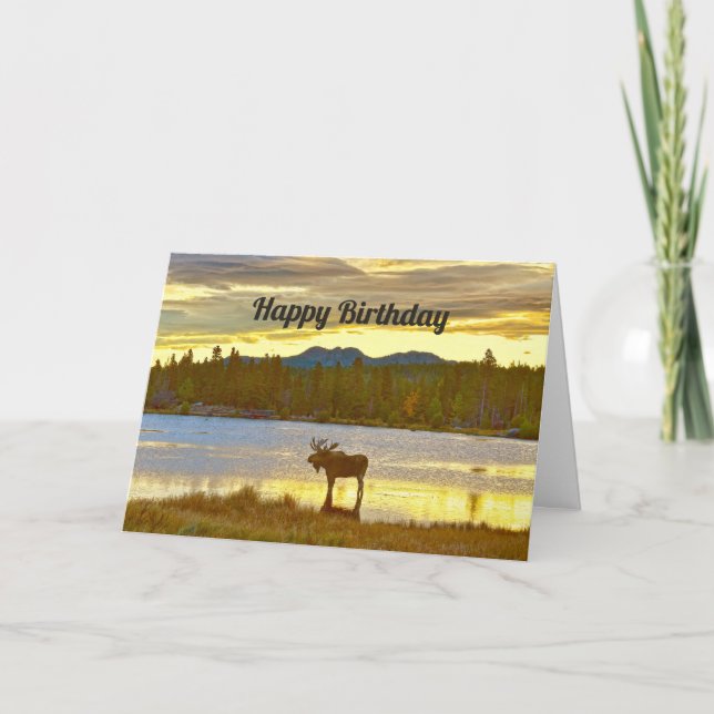 Happy Birthday, Bull Moose, Sprague Lake, Colorado Card (Front)