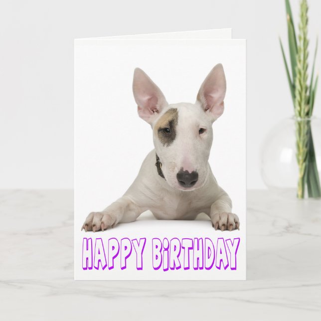 Happy Birthday Bull Terrier Puppy Dog Card (Front)