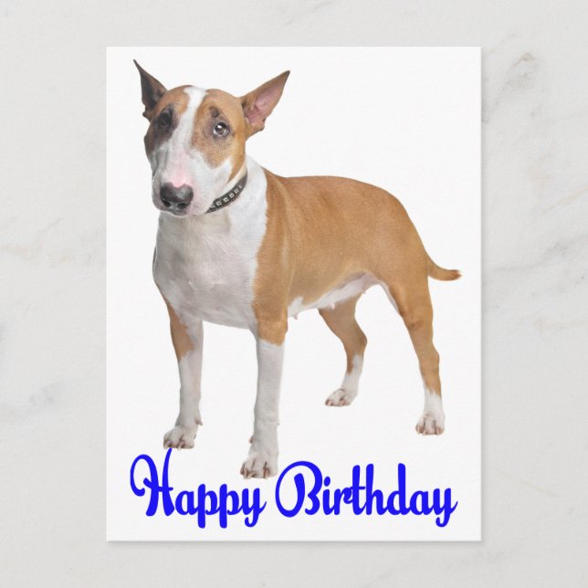 Happy Birthday Bull Terrier Puppy Dog Postcard (Front)
