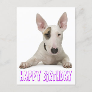 Happy Birthday Bull Terrier Puppy Dog Postcard