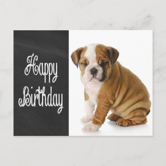 Happy Birthday Bulldog Puppy Chalkboard Postcard (Front)