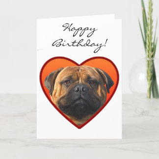 Happy Birthday bullmastiff dog Card