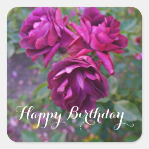 Happy Birthday Burgundy Iceberg Rose #3 Stickers