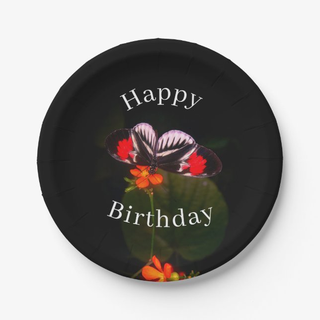 Happy Birthday Butterfly  Paper Plate (Front)