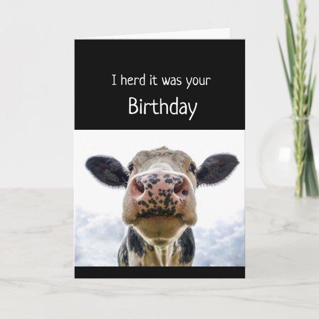 Happy Birthday Cake Sniffing Cow Fun Humour Card (Front)