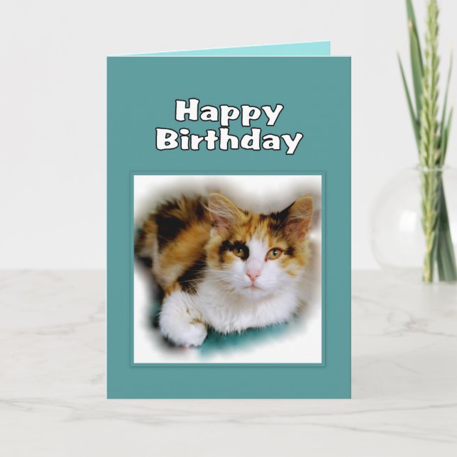 Happy Birthday Calico Cat Card (Front)