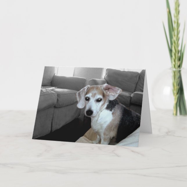 HAPPY BIRTHDAY CARD (Front)