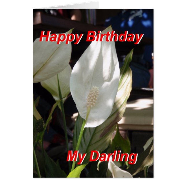 Happy Birthday Card (Front)