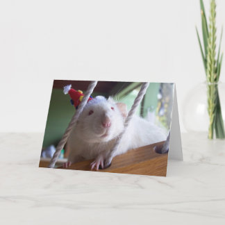 Happy Birthday Card