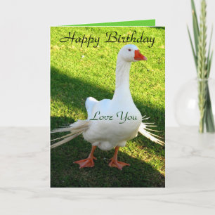 Happy Birthday_ Card