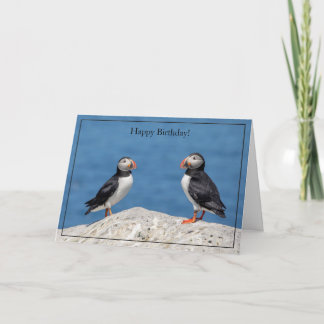 Happy Birthday Card Atlantic Puffin
