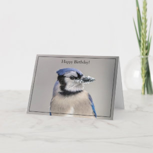 Happy Birthday Card Blue Jay