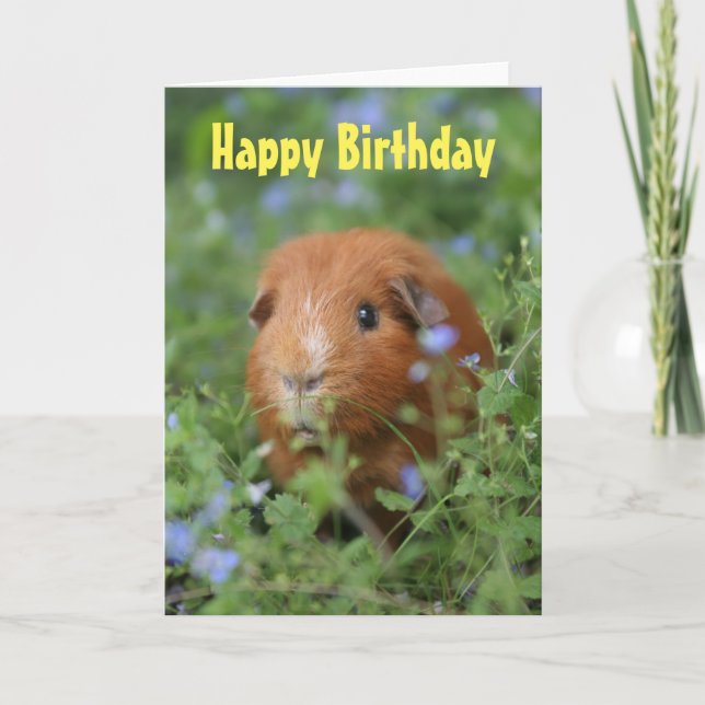 Happy Birthday card cute ginger guinea pig (Front)