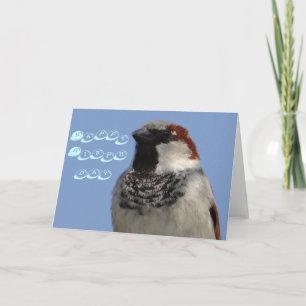Happy Birthday card cute little bird