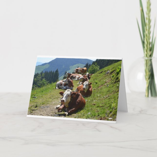 Happy Birthday Card Group Of Cows (Front)