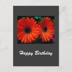 happy birthday card orange colour daisy flowers