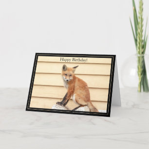 Happy Birthday Card Red Fox Kit