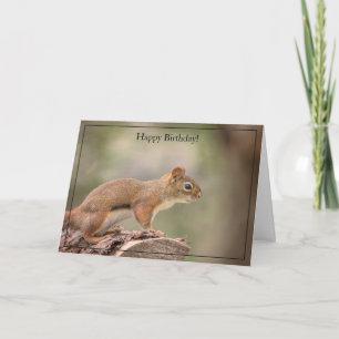 Happy Birthday Card Red Squirrel