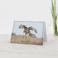 Happy Birthday Card Red-Tailed Hawk