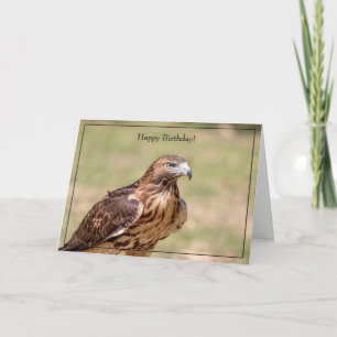 Happy Birthday Card Red-Tailed Hawk