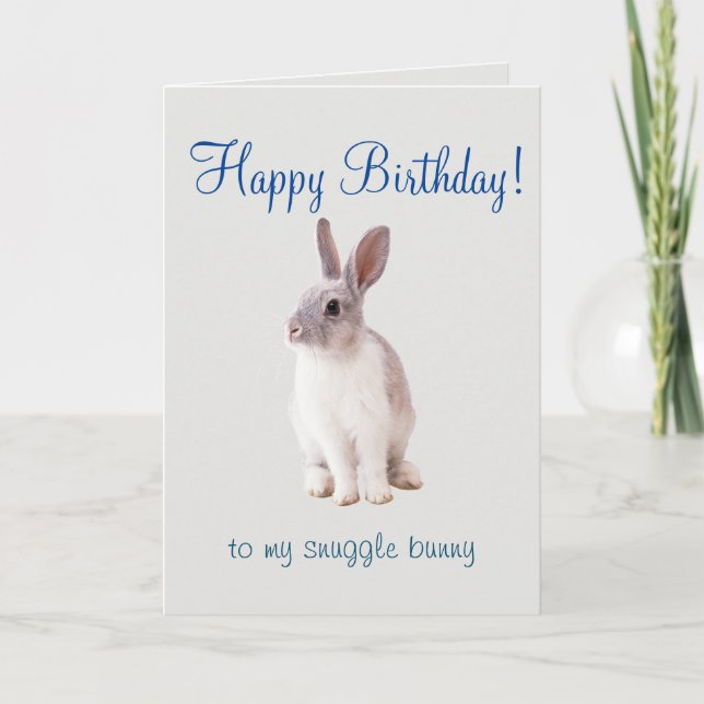 Happy Birthday Card Snuggle Bunny (Front)