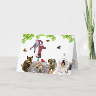 Happy Birthday Card: the whole gang. Holiday Card