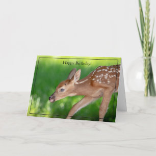 Happy Birthday Card White-Tailed Deer Fawn