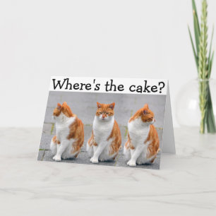 Happy Birthday Card with triple Cat