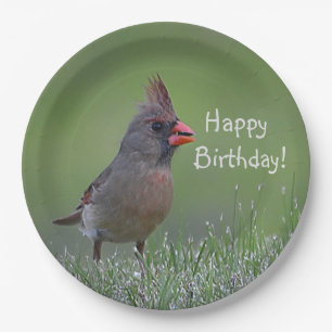 Happy Birthday Cardinal Paper Plate