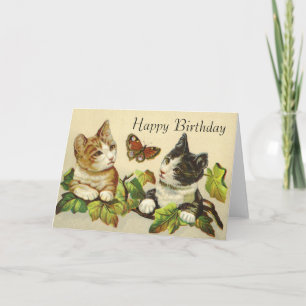 Happy Birthday Cards - Kittys