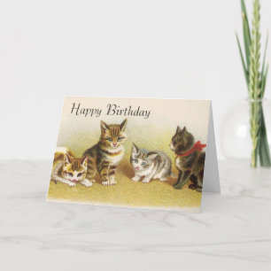 Happy Birthday Cards - Kittys