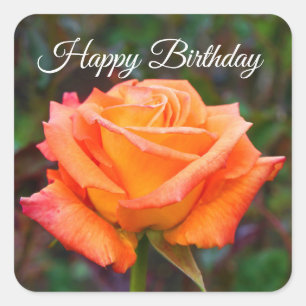 Happy Birthday Caribbean Rose #2 Stickers