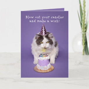 Happy Birthday Cat Blowing Candle On Cake Humour Holiday Card