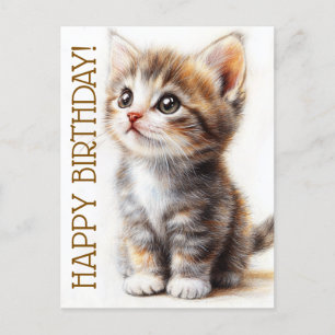 Happy Birthday, Cat Lady, Kitten Lover, Congrats  Postcard