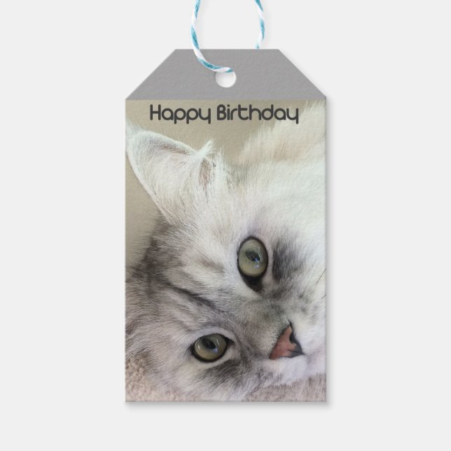 Happy Birthday Cat Lover Gift Tag (Front)