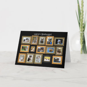 Happy Birthday, Cat Portrait Gallery Card